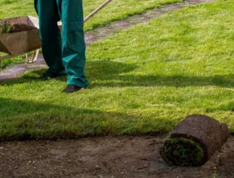 Soil preparation for lawn