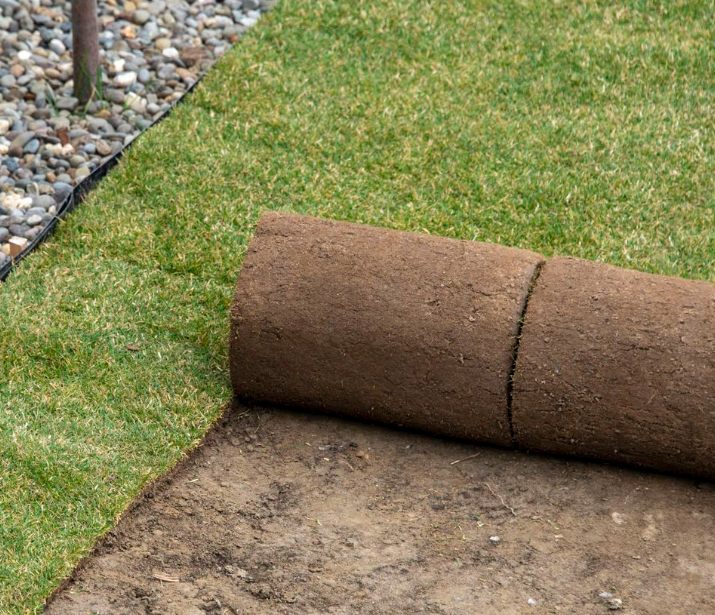 Healthy green lawn surface