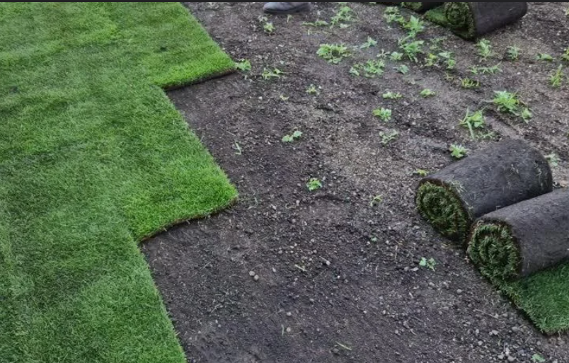 Completed lawn garden area